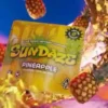 SunDaze Gummies