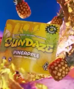 SunDaze Gummies